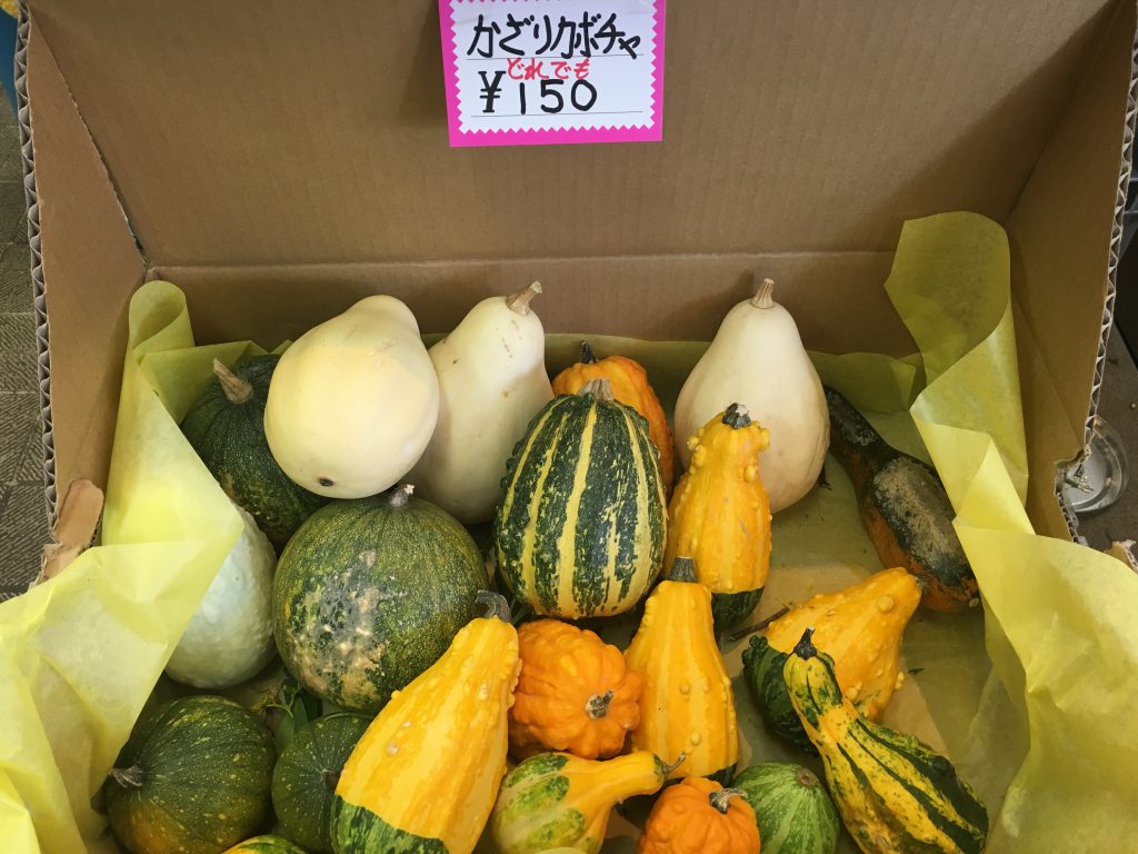 飾りかぼちゃ ハーバリウムの販売 ワークショップは岐阜県各務原市の花勝へ